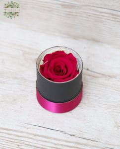 Forever rose 1 stem in small box