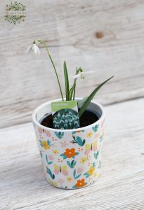Snowdrop 10cm outdoors