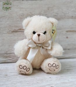 Plüschteddy 15cm