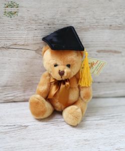 Graduation teddy plush 14cm