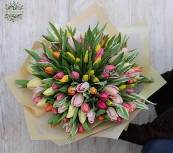100 wunderschöne Tulpen in einem Strauß