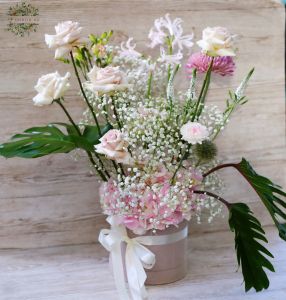 Airy cylinder box (28 stems)