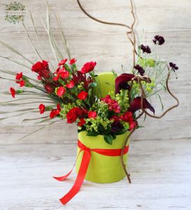 Frische grüne Halbmondschachtel mit roter Buschrose, Calla-Lilien und Dianthus Solomio