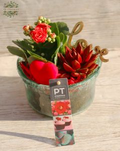 Love plant arrangement in glass bowl 