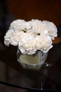 Carnation cube (14 stems)