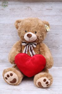 Plush teddy with a heart (50cm)