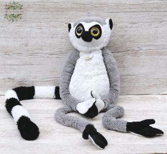 Plüsch Kattas (100cm)
