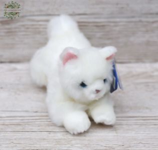 Plush white Cat (20cm)