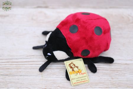 Plüsch Marienkäfer (17cm)