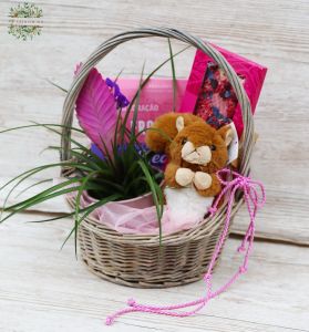 Gift basket with chocolates, tillandsia, and plush squirrel