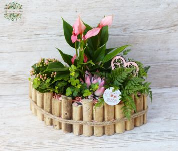 Pink flowering plants planting together May basket