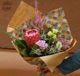 Silky protea with small flowers