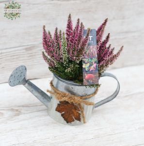 Calluna Gießkanne