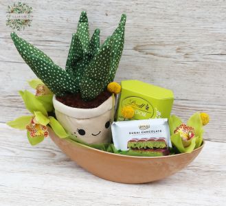 pistachio chocolates and green orchids, plush plant in a boat-shaped bowl