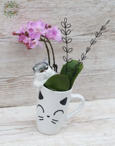 mini orchid in a kitty patterned mug with a kitty