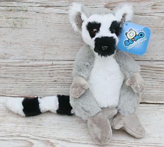 Katta (20 cm)