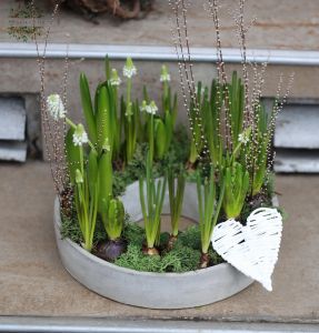 Tavaszi összeültetés