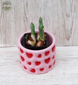 Rote Tulpen im Herz Topf