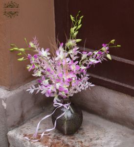 Dendróbium orchidea vázával és izgalmas kiegészítőkkel