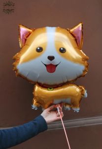 Pomerániai kutya lufi