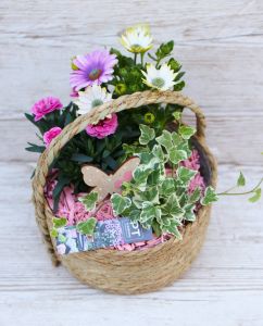 Pink may basket with balcony plants