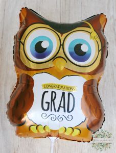 Eulenballon zur Abschlussfeier