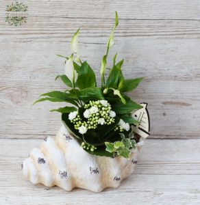 Sommerliches Pflanzenarrangement im Muschel