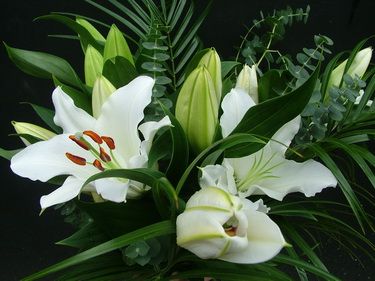 5 Stiele der weißen orientalischen Lilien (40cm)