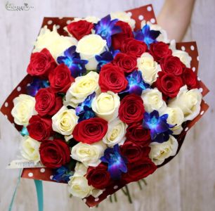 40 rote und weiße Rosen mit blauen Orchideen