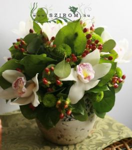 7 orchid, hypericum, green pompoms in ceramic pot (25cm)