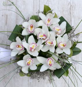 10 cymbidium orchids with aspidistra leaves