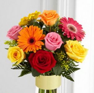 mixed roses and gerberas (15 stems)