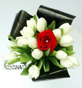 red rose with 15 white tulips