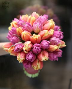 Bouquet of 50 tulips