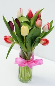 10 gemischten Tulpen in einer Vase