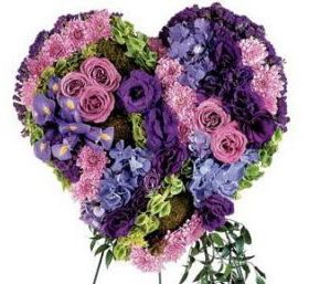 purple heart (38 cm)