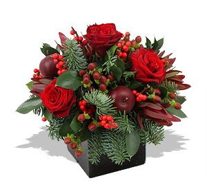 Rose Kubus mit Pinien  (20cm)