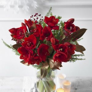 5 beautiful amaryllis with 5 hypericum 