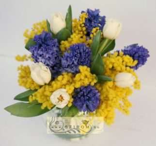 glass ball with tulips, hyacinths and mimosa