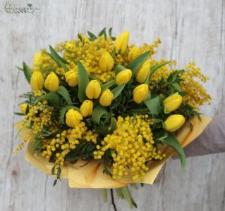 mimosa with 20 tulips