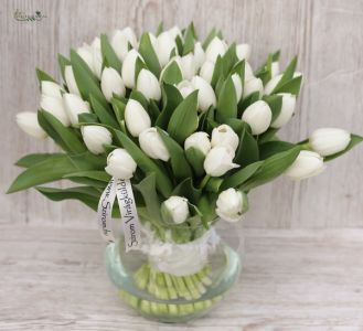 60 weiße Tulpen in einer Glaskugel