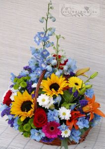 big summer mix basket (25 stems)