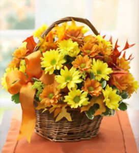 orange Chrysantheme Korb (10 Stiele)