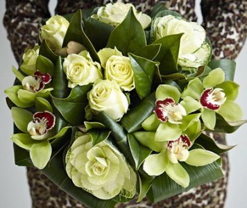 Rosen, grünen Orchideen, brassica (13 Stämme)