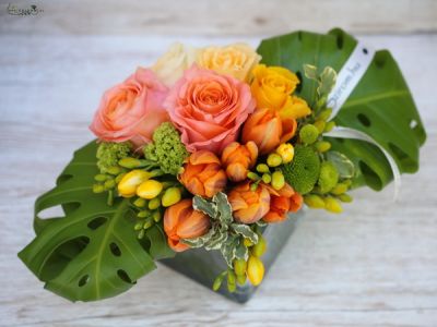 17 stems of orange flowers in glass cube