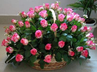 60 pink roses in a basket (70cm)