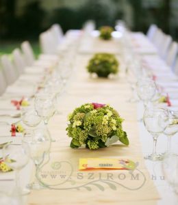 kis gombócok 1db (sedum, rózsa, zöld, rózsaszín), esküvő