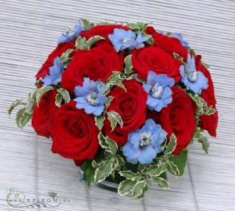 15 red roses in a glass cube with delphinium