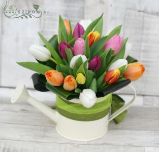 cattle of tulips (20 stems)