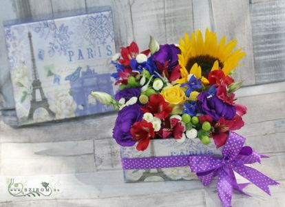 Sommer Blumen Box (12 Stiele)